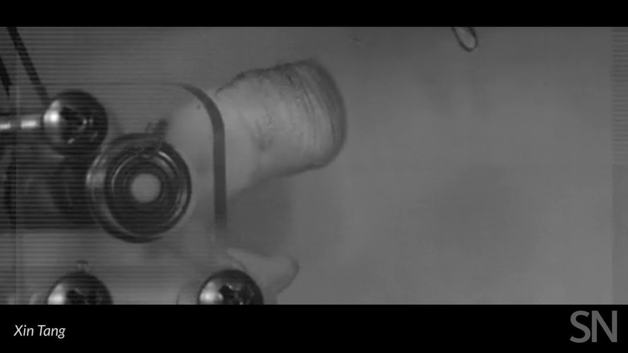 テッポウエビの発する プラズマ衝撃波 を再現するハサミを開発 Robot Media