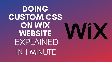 How To Do Custom CSS On Wix Website (2025)