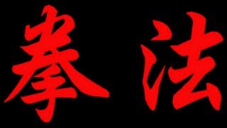 Checking The Storm-Kempo (Kenpo) Karate Bujutsu Technique screenshot 2