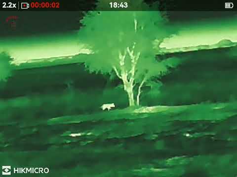 HIKMICRO Lynx LE15 3.0 thermal monocular 