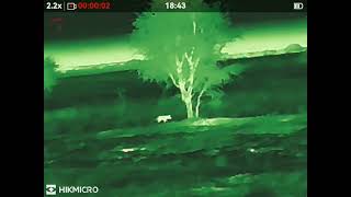 HIKMICRO Lynx LE15 3.0 thermal monocular 