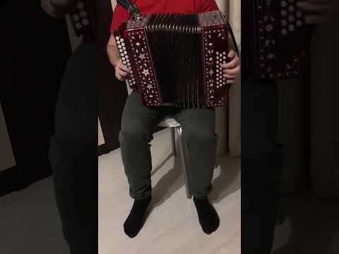 Гармонь тульская заказная,