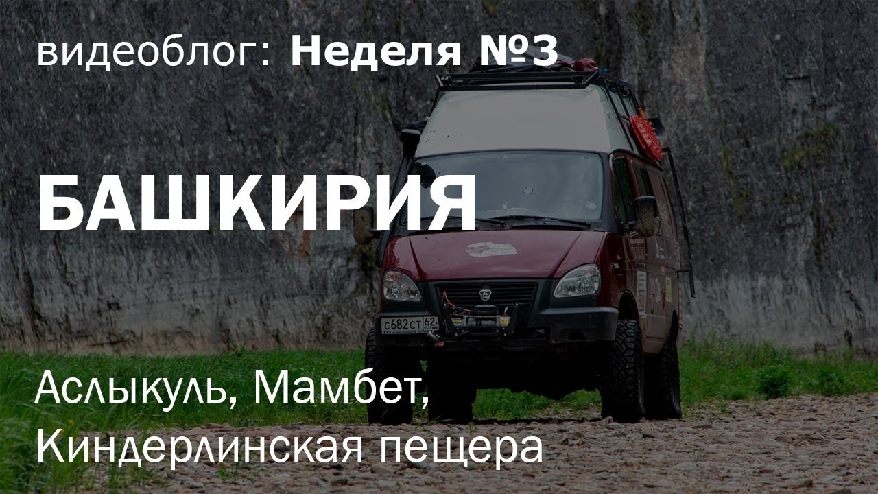 Газель азиатских пустынь