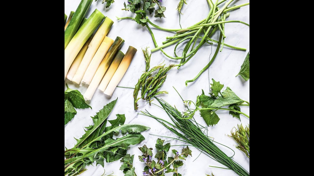 5 Early Spring Edibles to Find in the Woods Right Now!