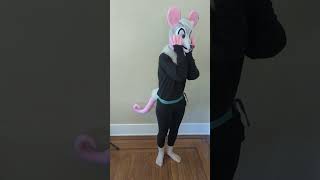 Opossum fursuit mini partial by rita fox fursuits