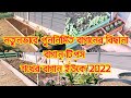 Newly rebuilt garden bed  garden tips  shoukher bagan uk 2022  passionate gardener uk vlogger