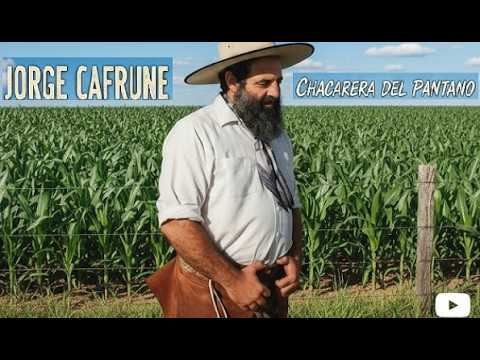 JORGE CAFRUNE – CHACARERA DEL PANTANO 💃 ¡Folklore bien santiagueño!
