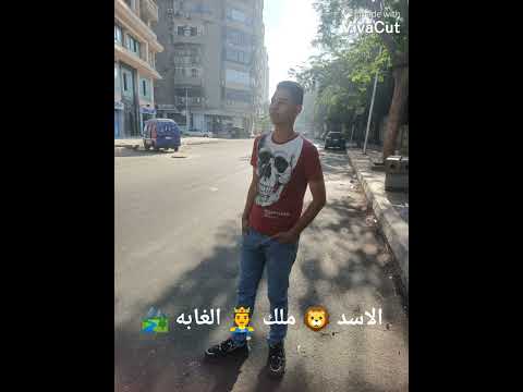 الفنان الجديد محمد ظاظا