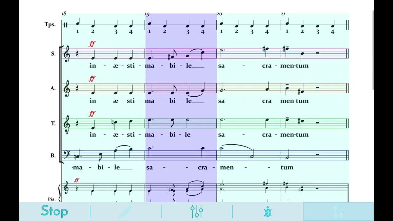 Locus iste - Anton Bruckner - The Netherlands Chamber Choir