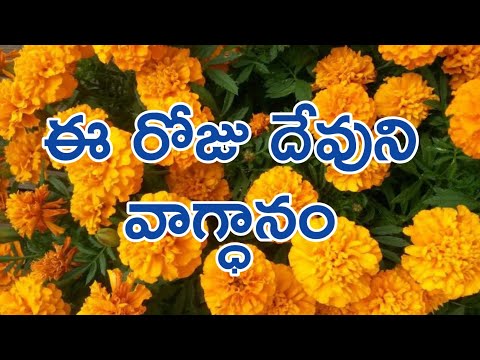 today's promise ఈ రోజు దేవుని వాగ్ధానం 29-1-2022 #god #promise #Today#Jesus#Christmas#Yesu#Bible