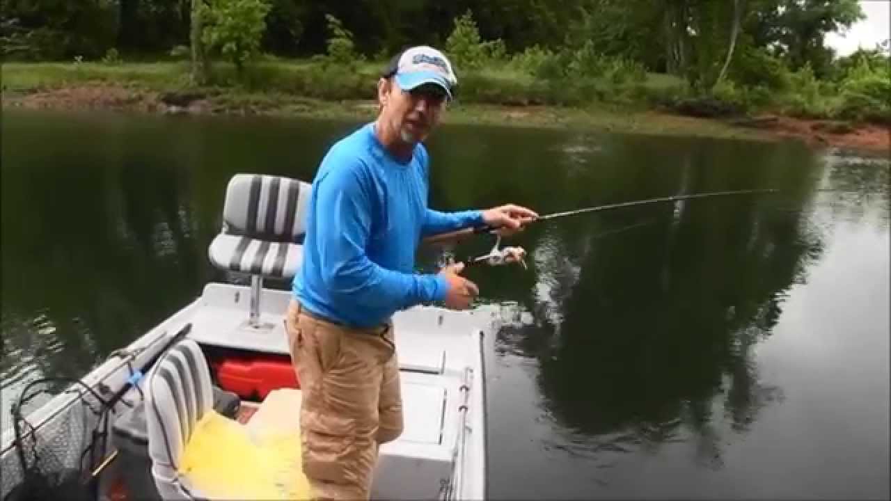 Trout on the White and North Fork Rivers YouTube