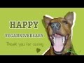 Happy Veganniversary! The first single from MC Pony (featuring Renée Jonas)