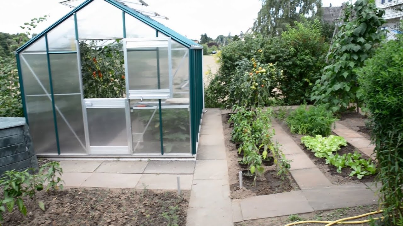 Gartentour, Gemüsegarten, Paprika, Karotten, Tomat YouTube