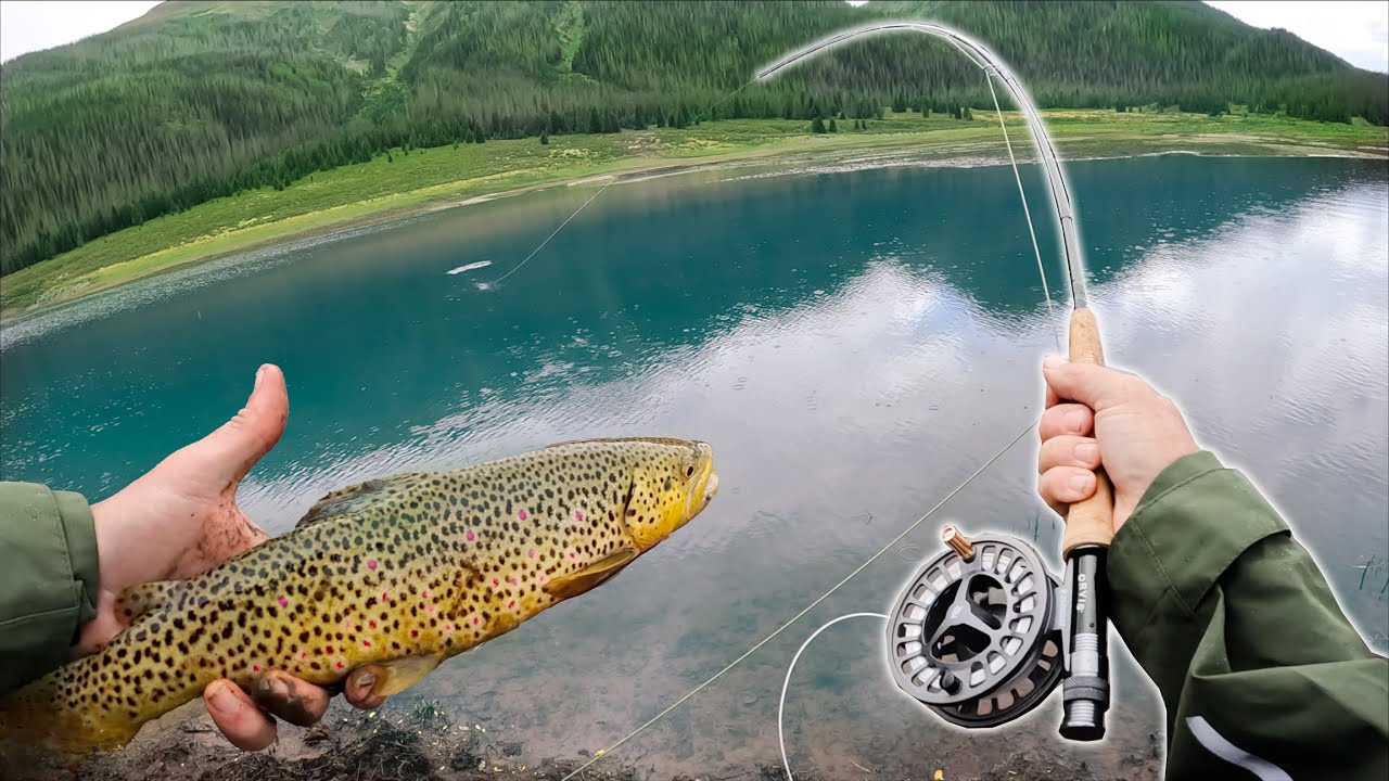 Sight Fishing for Schooling Brown Trout!