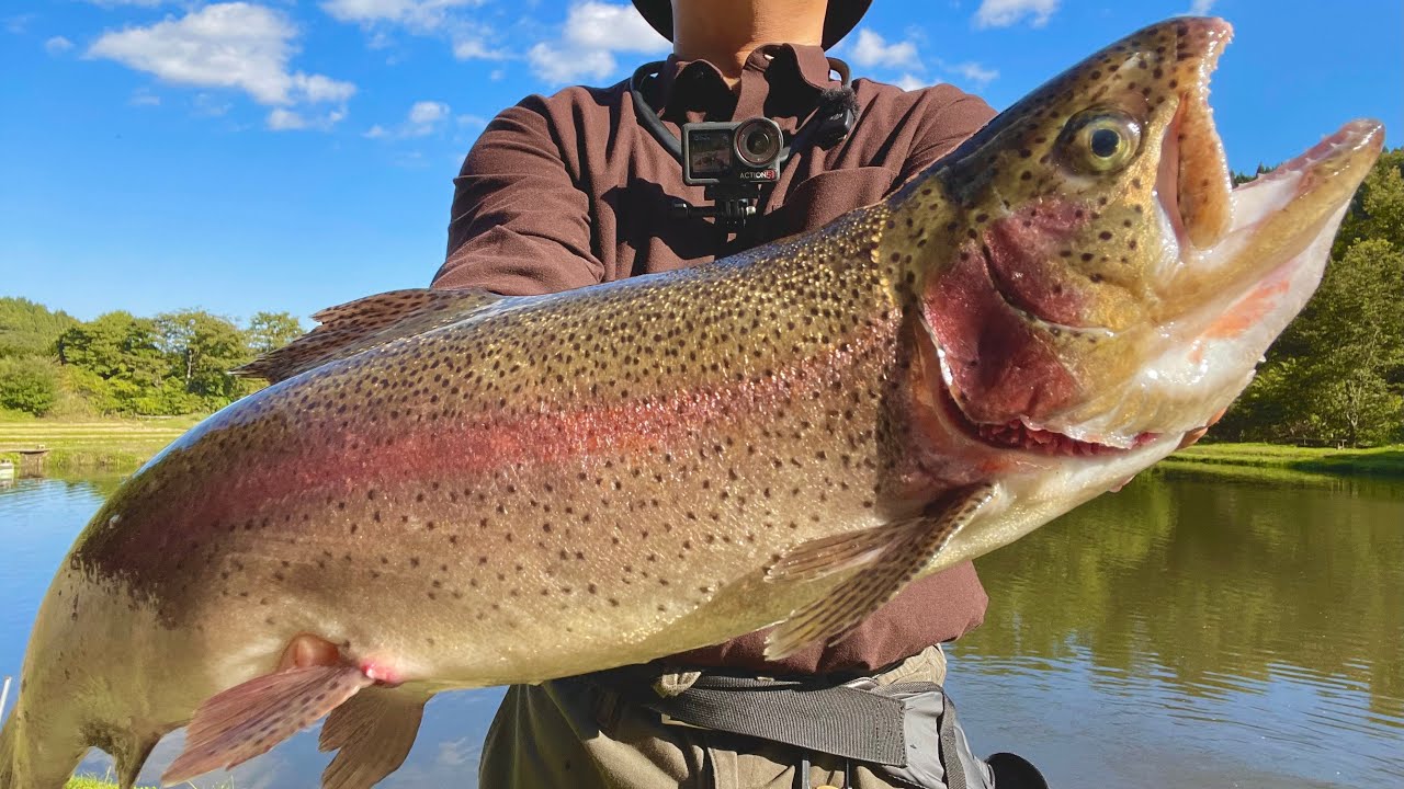 自分で釣ったサーモンで作るレアカツ、最高なんよ。【エリアトラウト】【管理釣り場】