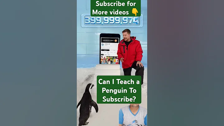 Can I Teach a Penguin To Subscribe ?🐧#shorts #shortsfeed #viral #youtubeshorts #mrbeast #trendingnow