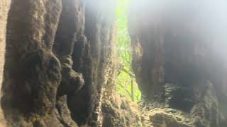 IMG 4324