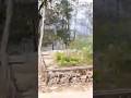Tour-March2026: Sikkim : Gangtok, Pelling, Namchi, ; Mayapur, Nabadwip India #sikkim #india #mayapur