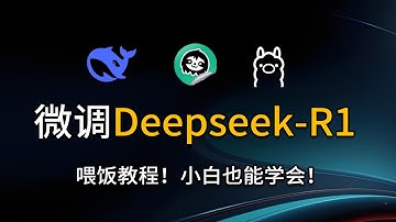 10分钟学会快速微调Deepseek-R1-8b模型，并且可视货训练过程！