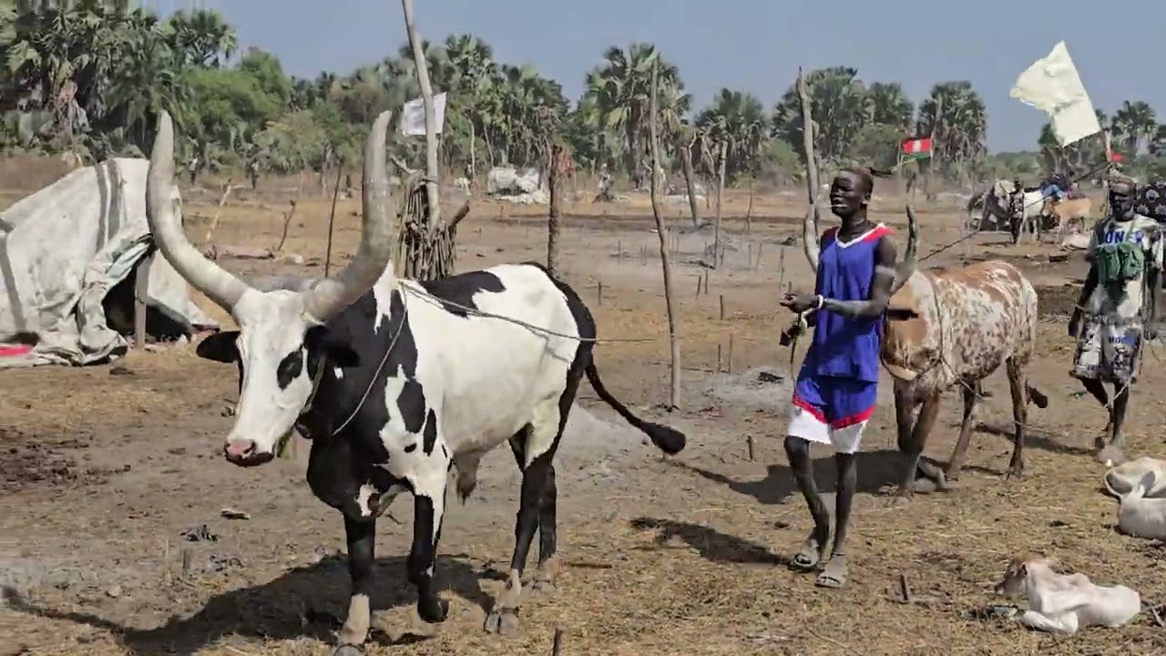 Makuei Adongthiar Rumbek Makuek at Alau-jarweng 