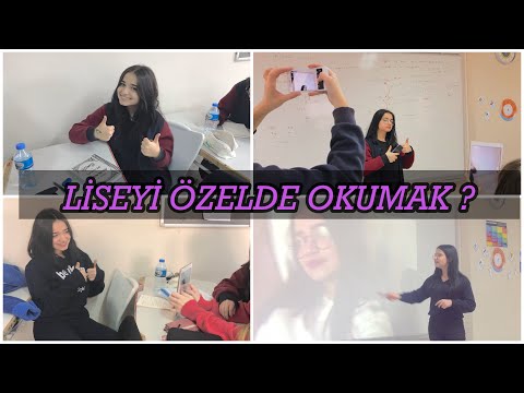 Video: Özel Okulun Artıları Ve Eksileri Nelerdir?