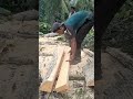 mengiris kayu dengan chainsaw #woodworking #chainsaw