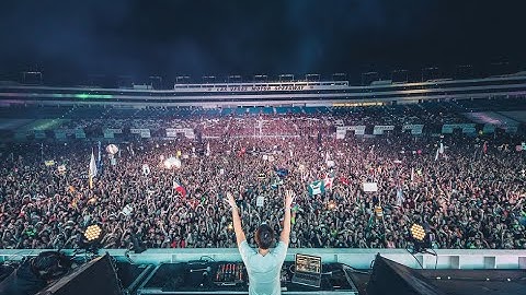ZEDD EDC