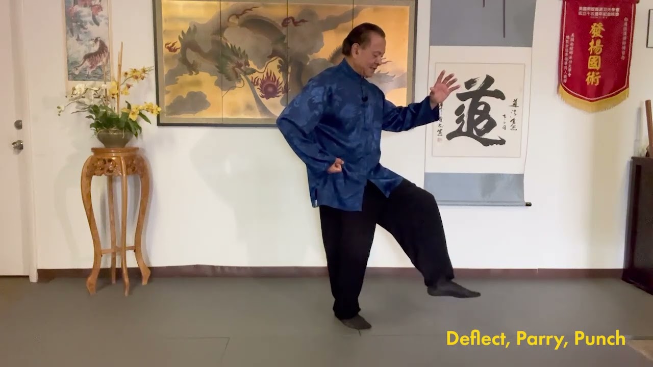 Tai Chi (Part 17) - Deflect Parry Punch