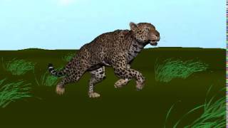 Leopard Run Cycle v4