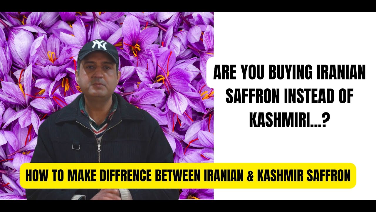 How To  Make Diffrence Between Kashmiri & Iranian Saffron i 