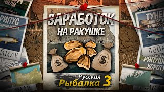 Заработок на Ракушке, Моллюске, Ракухе, Гребешке. Рофло-Гайд как Стать Раковиной в РР3.