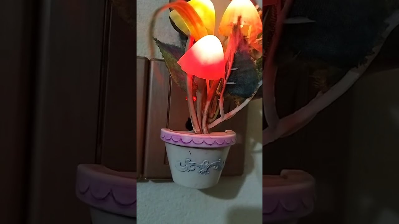 আড্ডা শুরু হয়ে গেছে Lata's world এ 🫰🥰