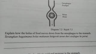 PT3 SAINS SET CEMERLANG 1 BAHAGIAN B DAN C