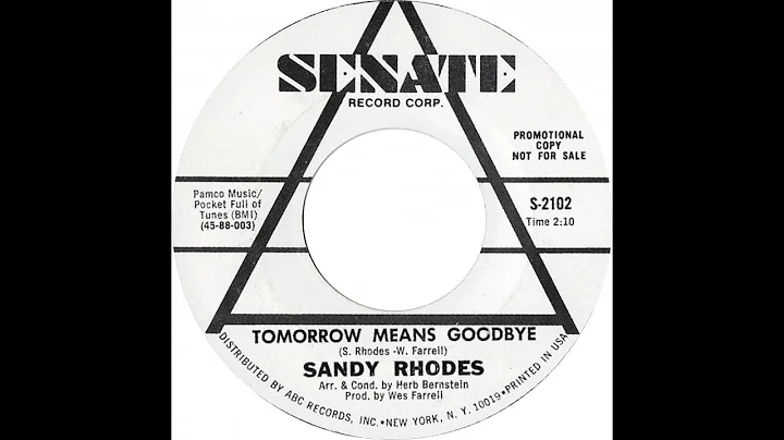 Tomorrow Means Goodbye - Sandy Rhodes