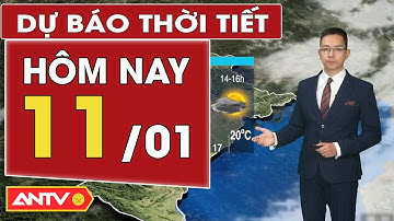 Dự báo thời tiết hôm nay ngày 11/1: Bắc Bộ giảm nhiệt rét đậm, Trung Bộ mưa rét  | ANTV