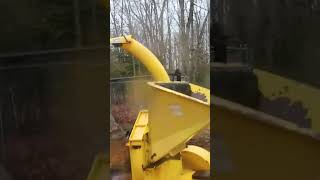 My Dad Threw My Gaming Console into a Woodchipper