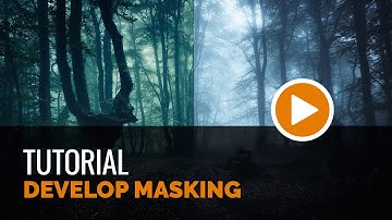 Masking in Develop Mode