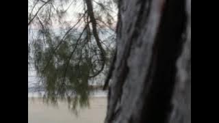 Download lagu zapin saujana karaoke