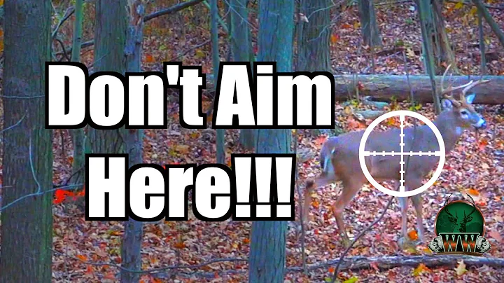 YOU'RE AIMING WRONG! Deer Shot Placement | Archery Deer Hunting Tip
