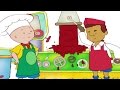 Cartoon Caillou | Caillou de chef | Nieuwe Hele Caillou Afleveringen | Nederlands Gesproken