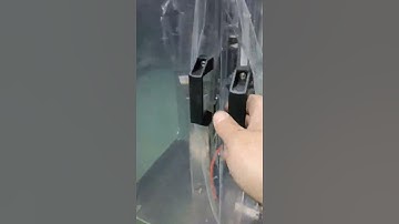 Fully auto  speed cap wad inserting machine with dust proof chamber #machine #factory