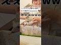 こんなに全ハリネズミに嫌われることってあるん？wwww好きやのに辛いって#ハリネズミ