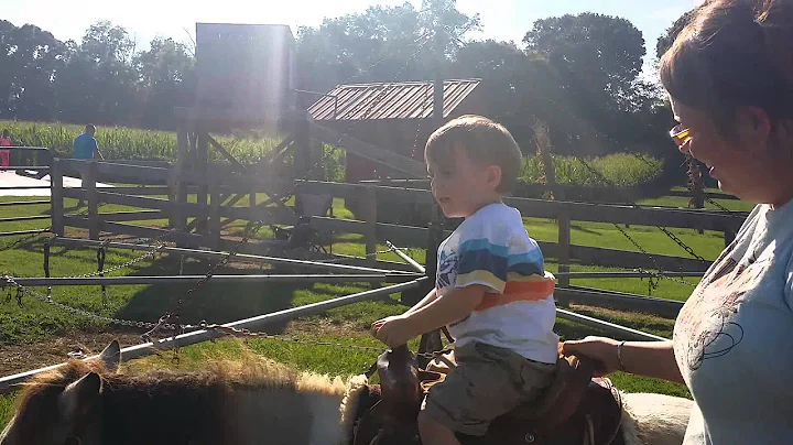Pony ride Manning