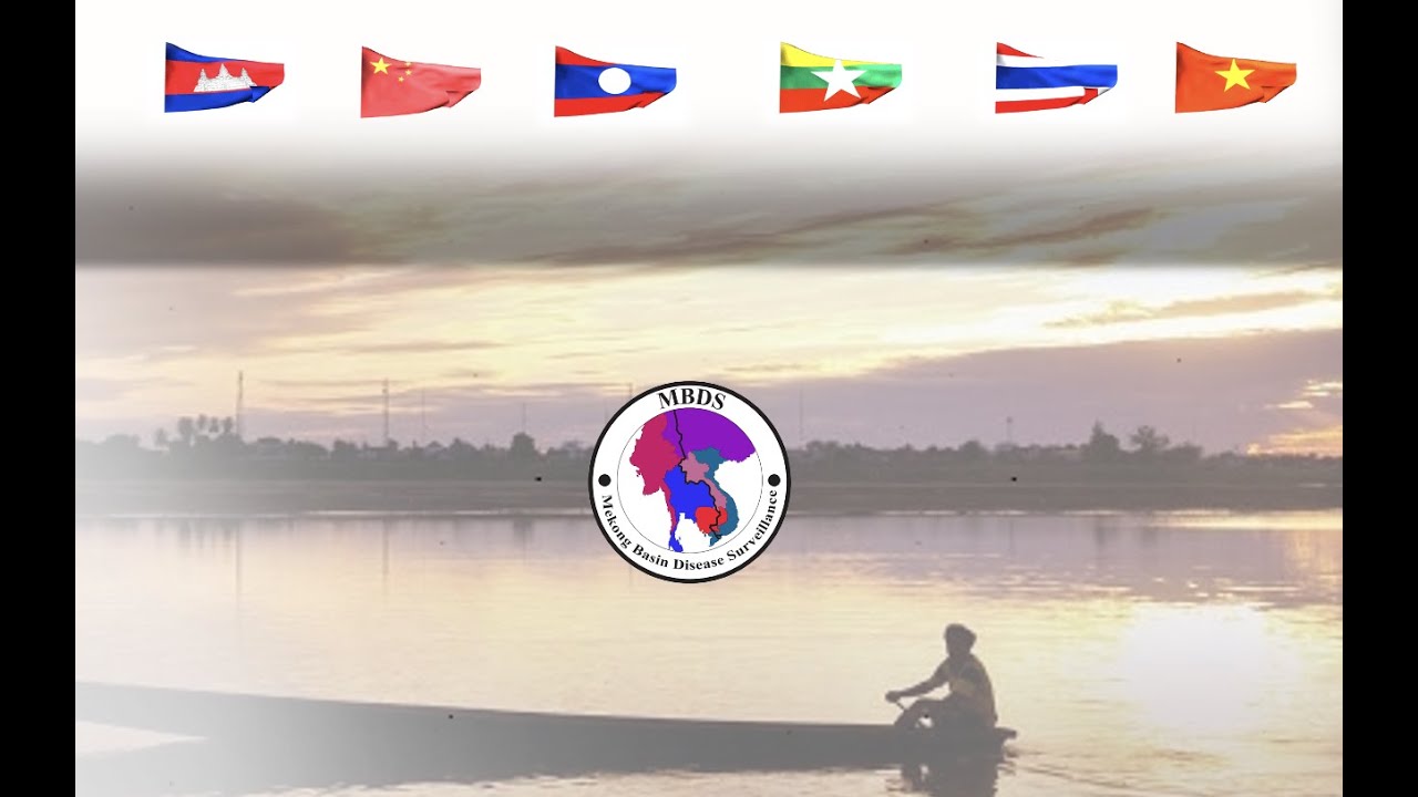 MBDS Regional Collaborative Platform - Event Base Surveillance Real Time Reporting in Thailand