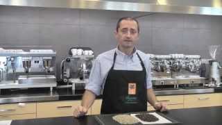 Guatemala Catuaí Chiula - El Duraznal - Sandalj Traceability Project