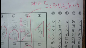 面白い回答