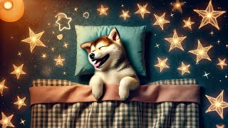 Sleep Meditation for Kids DREAMER THE SLEEPY DOG | Bedtime Story for Kids