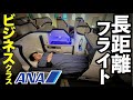 【長距離フライト14時間】結局、眠れた?50代で初めてANAビジネスクラスに乗った結果