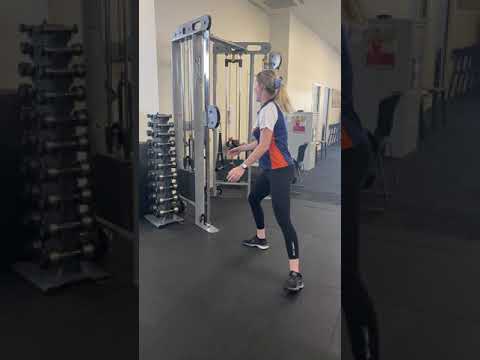 Single Arm Cable Row (Introducing Anti-Rotation through lumbar spine)