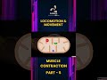 Locomotion & Movement Part 5 | Class 11 Biology | AASOKA #Shorts